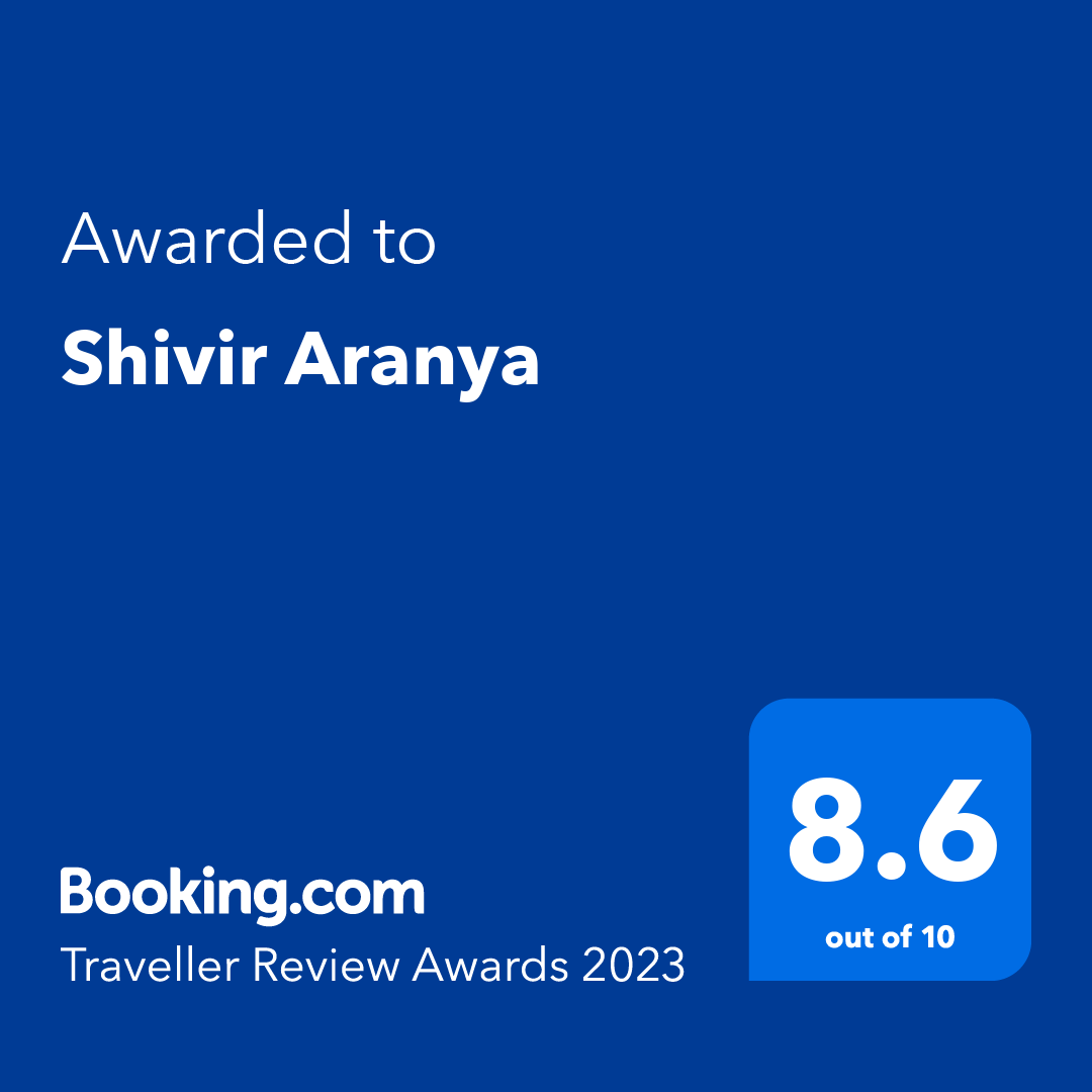 booking.com Award